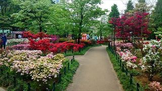 20150429練馬区立平成つつじ園_R.jpg